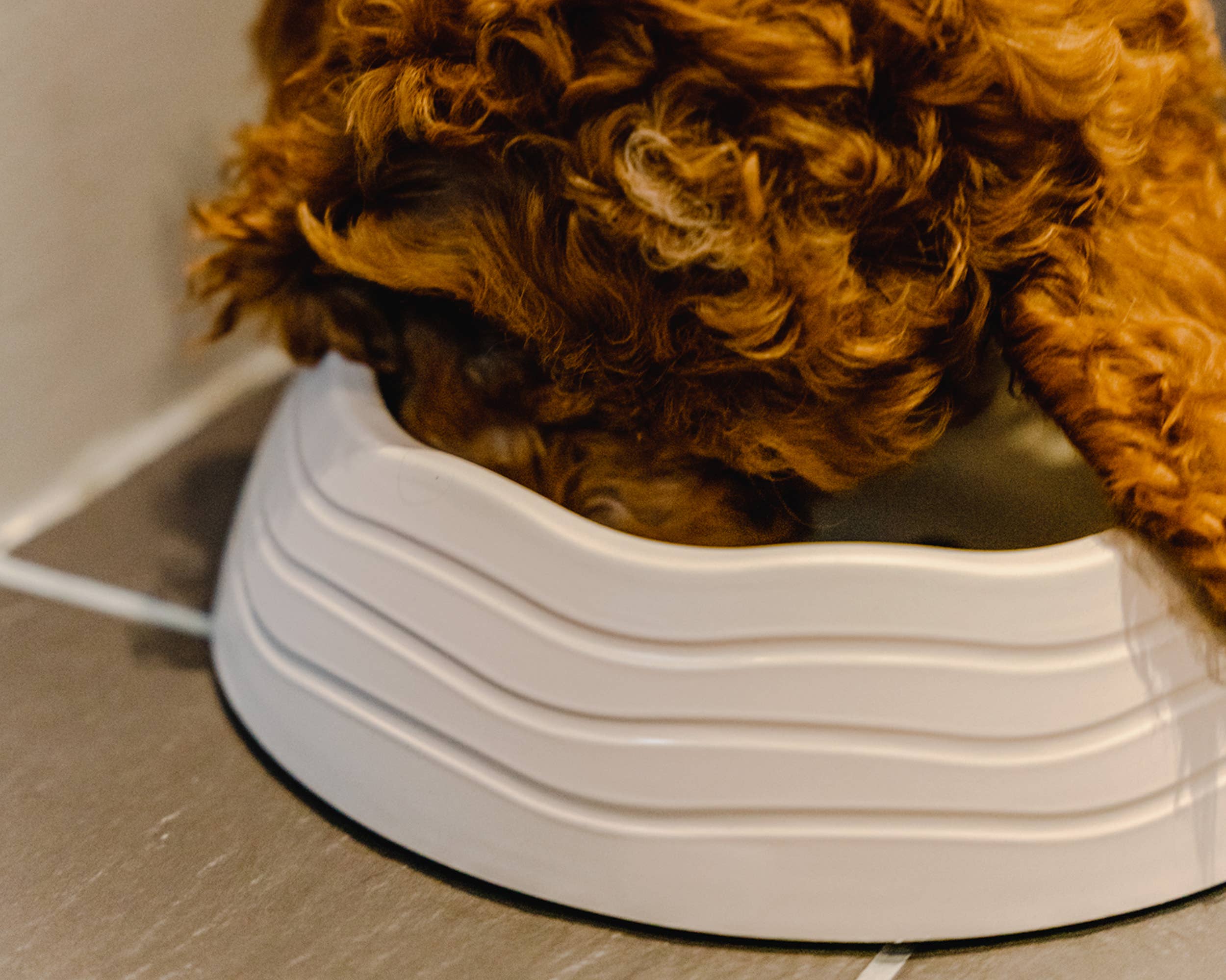 Ochien - Vente Gamelle – chat et chien - Gamelle pour chien en plastique océanique recyclé5