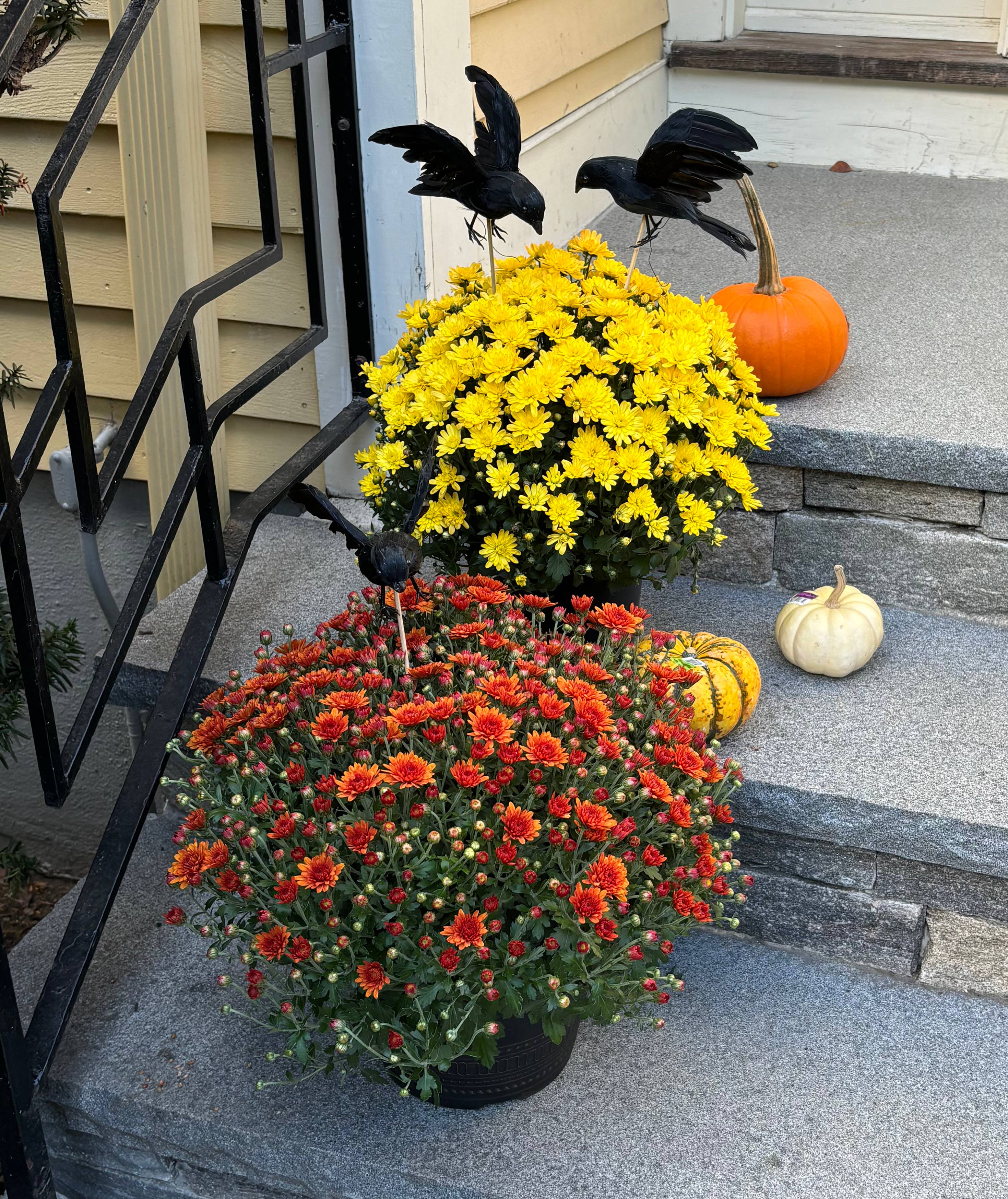 WORTH IMPORTS - Wholesale Ornament - 6" Feather Open Wing Crow on 12" Stick2