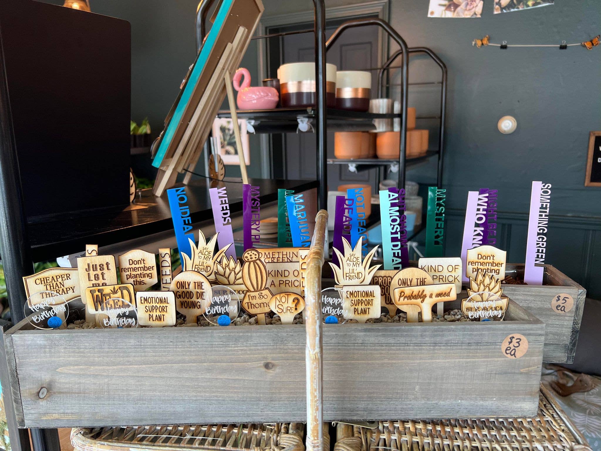 The Cracked Pig - Wholesale Garden/Lawn Stake - Snarky Birch Plant Stakes | Eco Friendly Wooden Plant Stake3