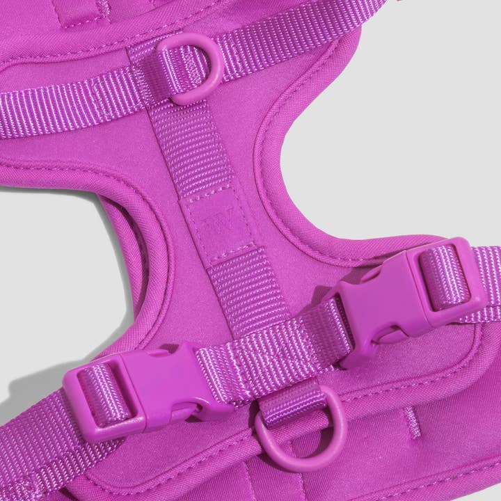 Wild One - Wholesale Pet Harness - Dog - Harness53