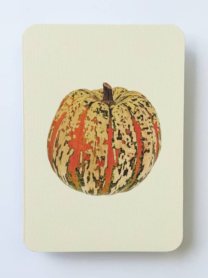 Ornamental Gourd No.2 Greeting Card | Autumn Fall Halloween for wholesale by Canonbury Press