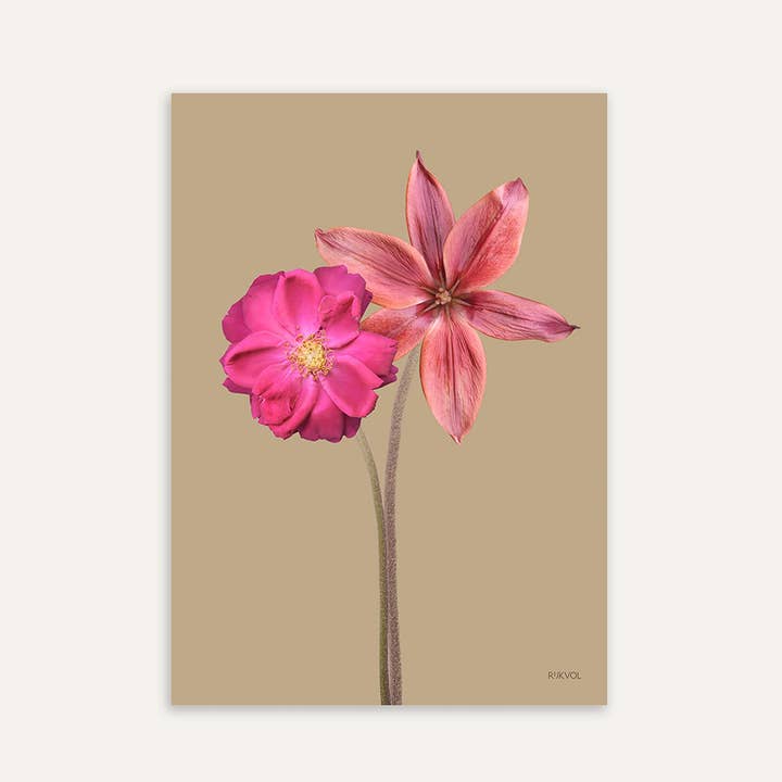 FlowerCollab 01, affiche de fleurs au format A4 pour la vente par Rijkvol