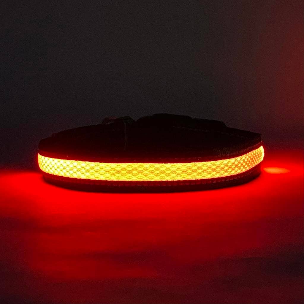 Puppy LED - Vendita all'ingrosso Collare - Cani - Collare per cani LED ricaricabile USB ad alta visibilità6