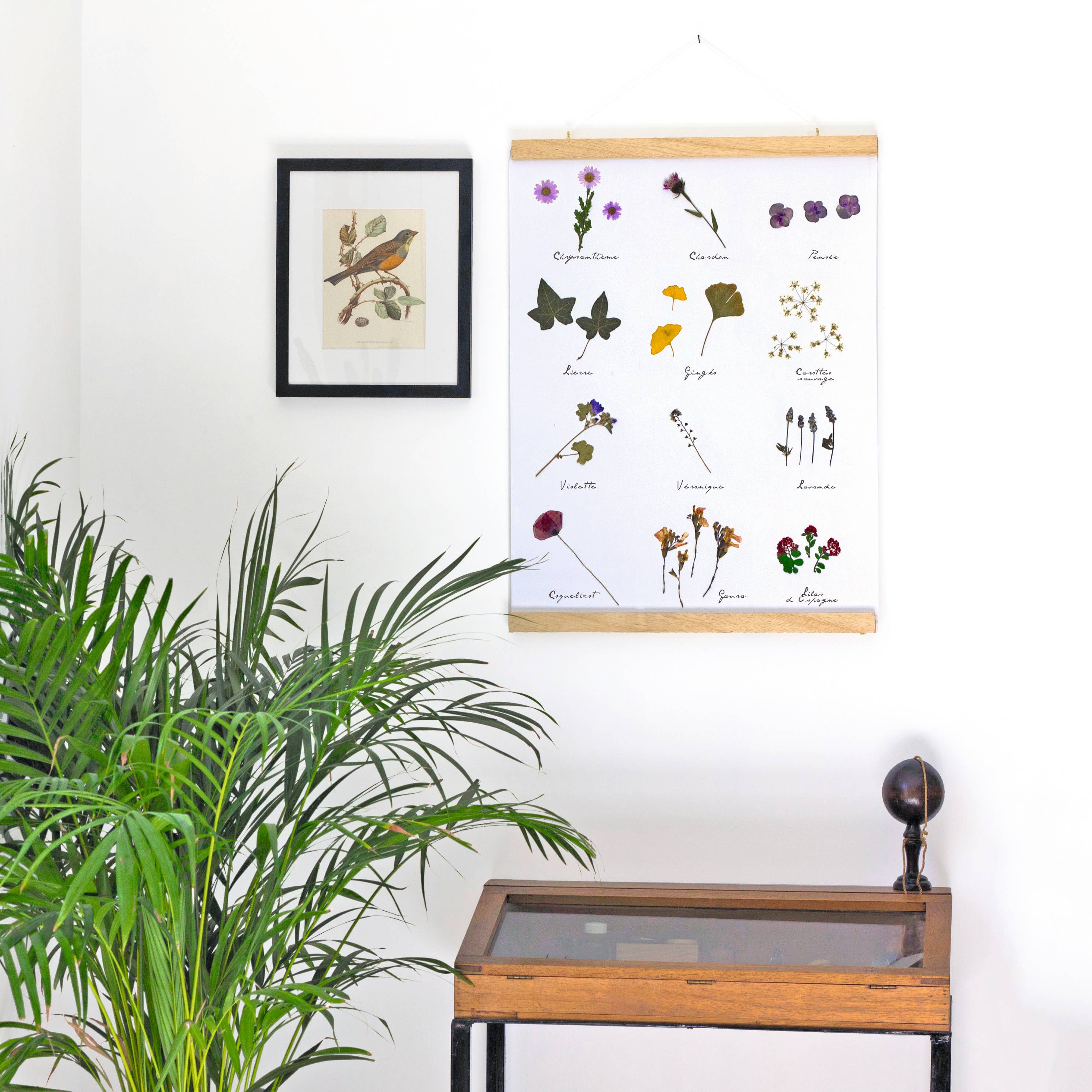 Schiffer Publishing - Wholesale Crafts, Hobbies & DIY - The Little Book of Flower Pressing1