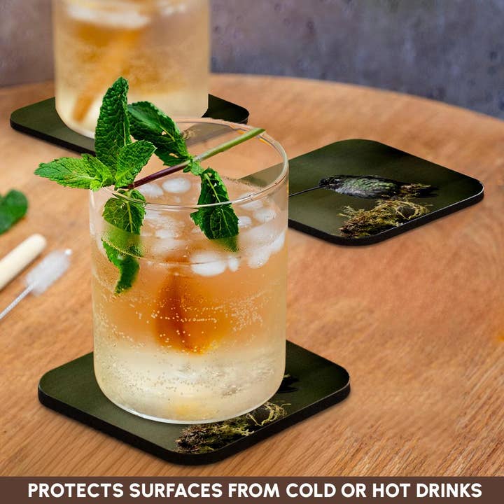 3dRose - Wholesale Coasters - 3dRose, Talamanca Hummingbird, Costa Rica, Central America, Coaster9