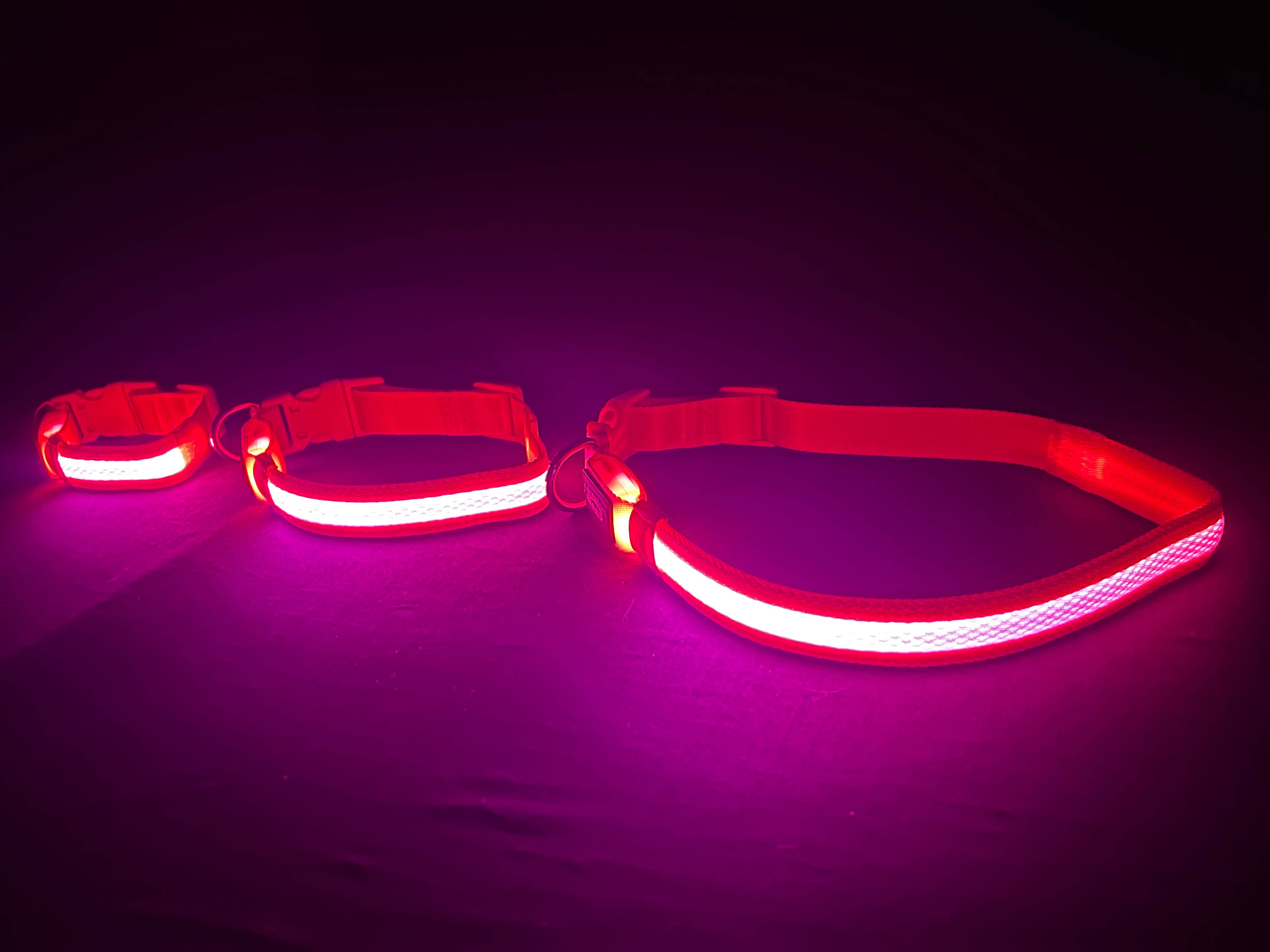 K-9ightLights L.L.C. - Wholesale Pet Collar - Dog - K-9ightLights LLC Pet Supplies Best Light Up LED Dog Collar2