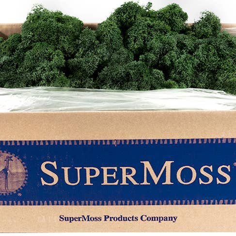 SuperMoss - Wholesale Dried/Pressed Flowers - Reindeer Moss Preserved 3lb Bulk Box