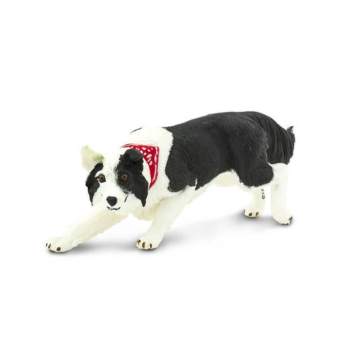 Safari LTD - Canada - Wholesale Figurine Toy - Kids - Border Collie - 2545291
