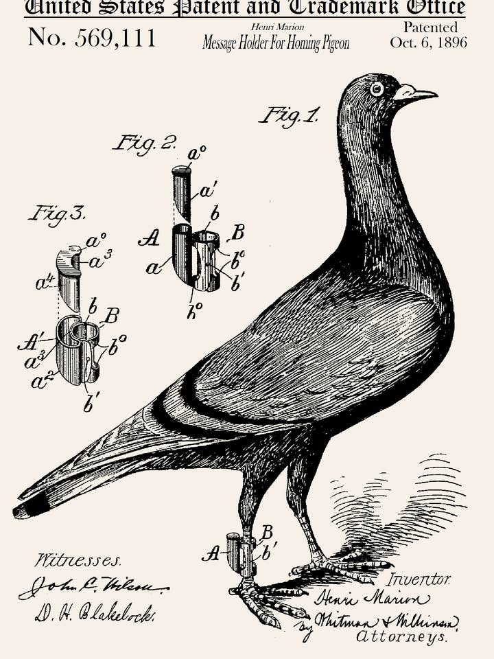 Tarjeta de felicitación para uso diario, soporte para mensajes, para palomas mensajeras para venta al por mayor de PATENT PRESS GREETING CARDS