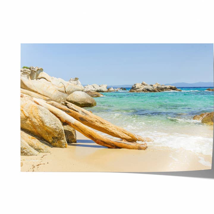 Beach Driftwood II | Kunstfotografi Print for engroshandel hos Natasha Riha Photography