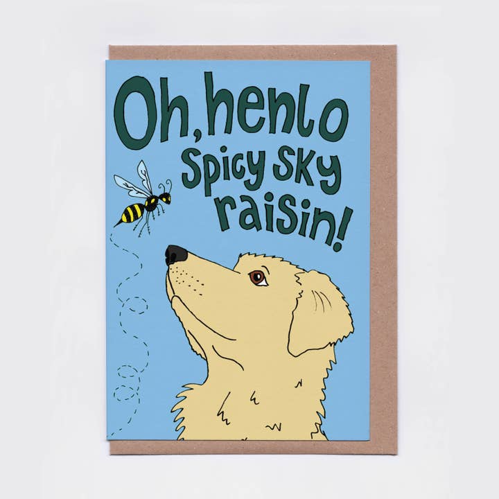 The Curious Pancake - Wholesale Everyday Greeting Card - Spicy Sky Raisin Card | Funny Dog Card, Labrador END OF LINE