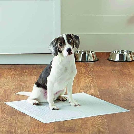 Croci - Wholesale Pet Pee Pad - Dog - Dog toilet mats - Super Nappy - Crosses5