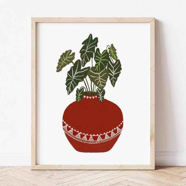 Alocasia in Terracotta pot for wholesale by Nabeela Rumi