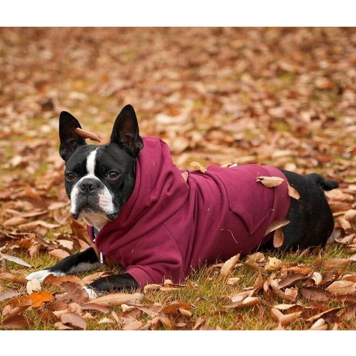 Milltown Brand - Wholesale Pet Hoodie - Dog - Zip Up Dog Hoodie - Burgundy6