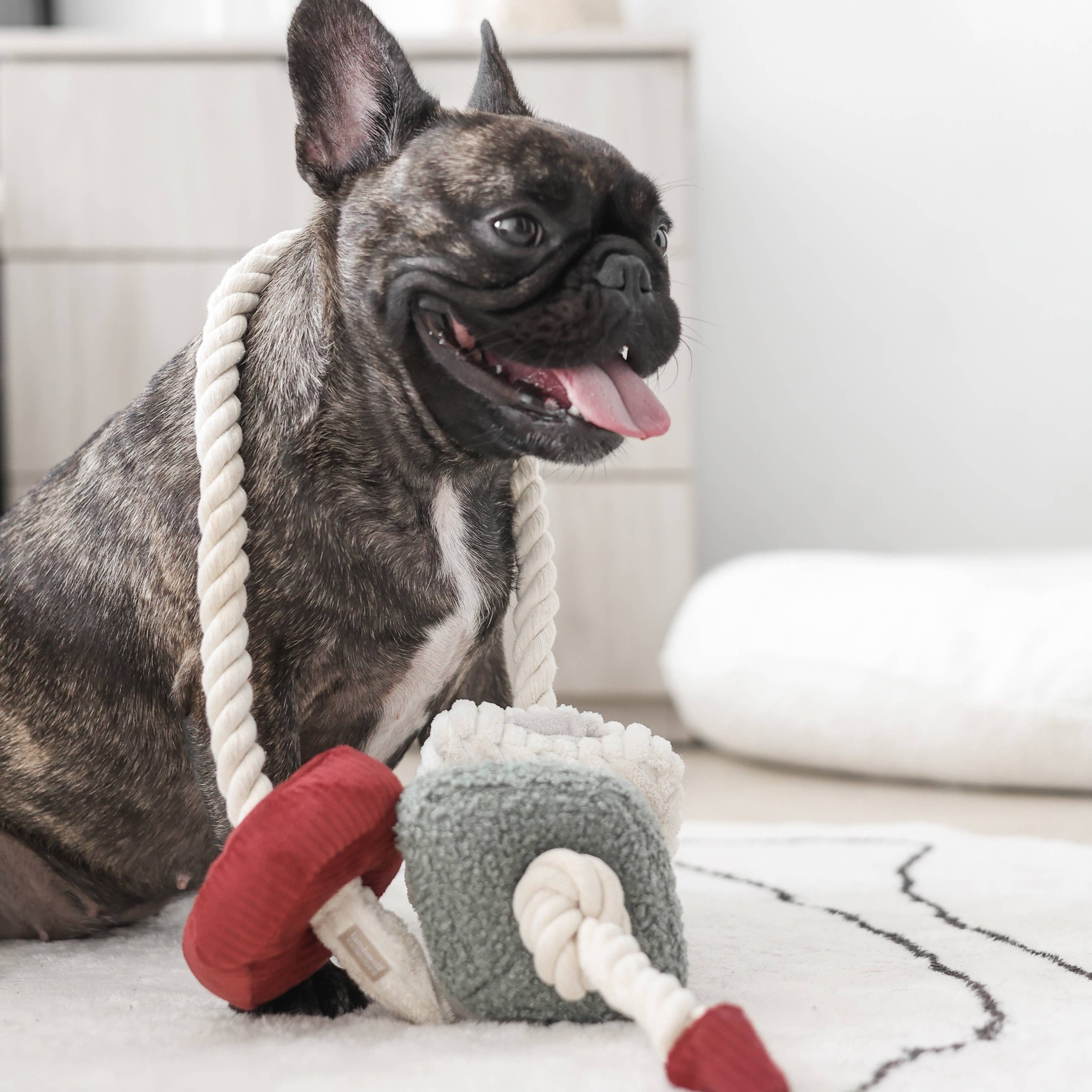 Lambwolf Collective - Wholesale Pet Rope Toy - Dog - XMAS BLOCS//ENRICHMENT DOG TOY // HOLIDAY2