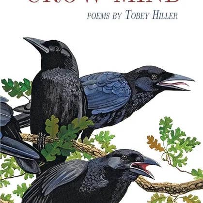 Books by splitShops - Wholesale Poetry & Drama - Crow Mind - Paperback