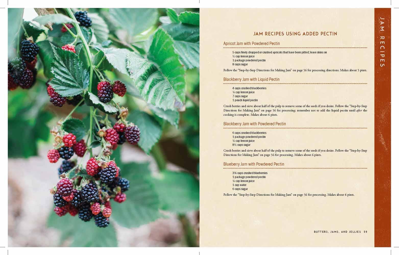 Harvest House Publishers Gift & Specialty Books - Wholesale Cookbooks & Food - The Homestead Canning Cookbook1