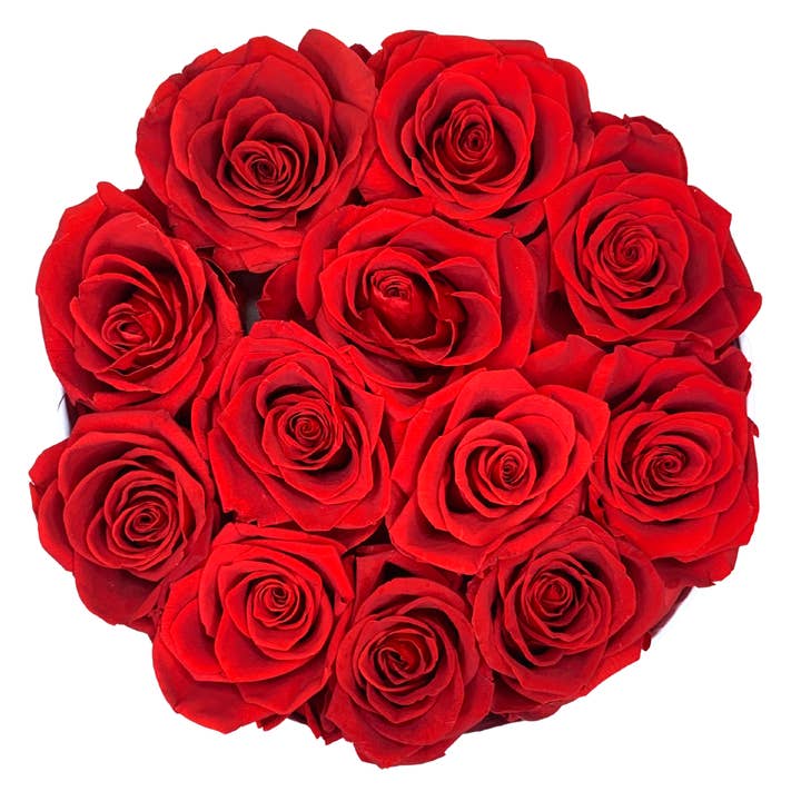 verona home and gift - Wholesale Dried/Pressed Flowers - 12 Real Preserved Roses that Last Forever In Round Box15