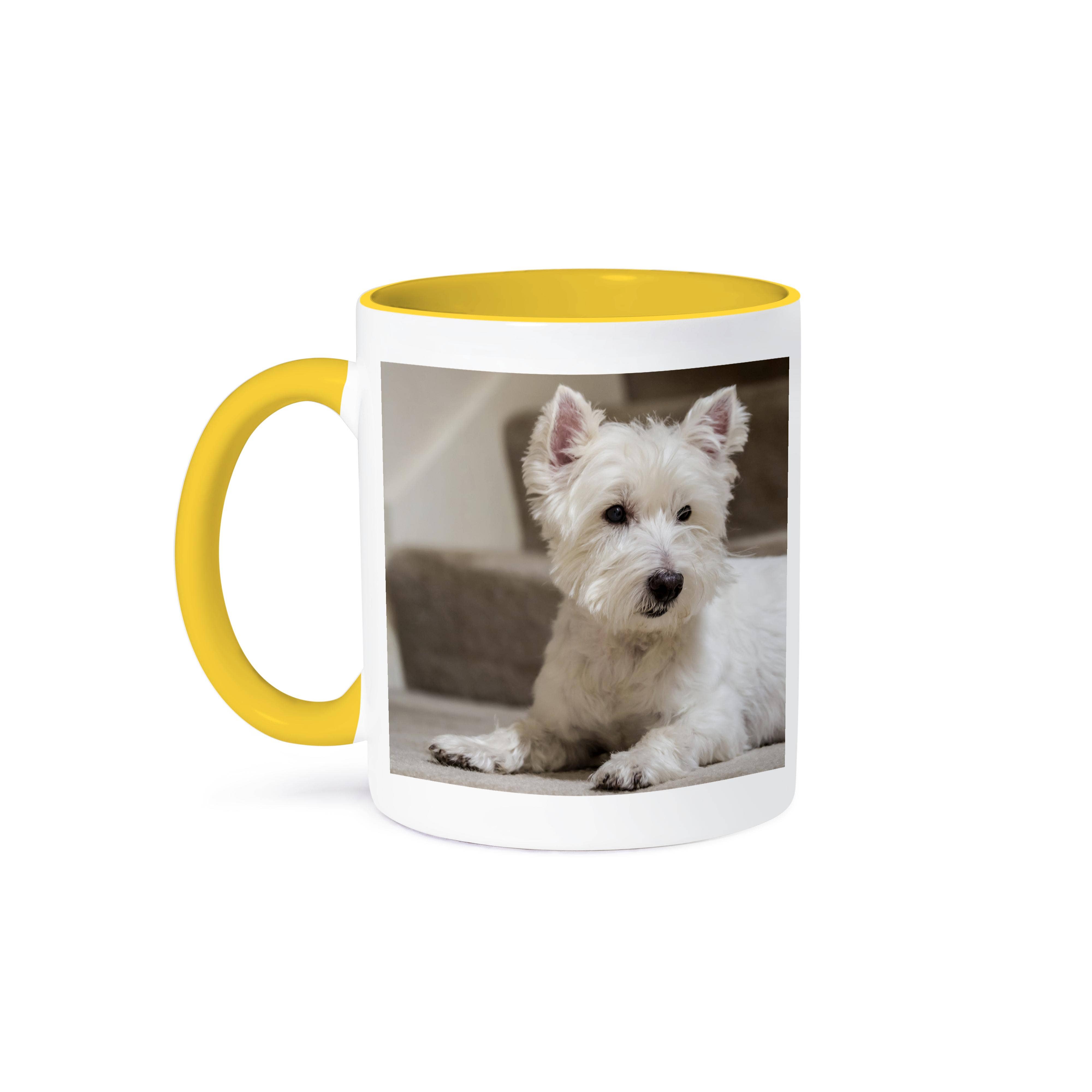 3dRose - Wholesale Coffee Mug - 3dRose, Zipper, a Westie, reclining by the stairs. , Mug0