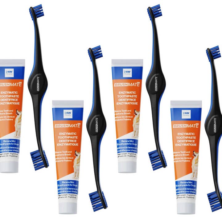 4 Brushing Kits for wholesale by Keen Products Inc.