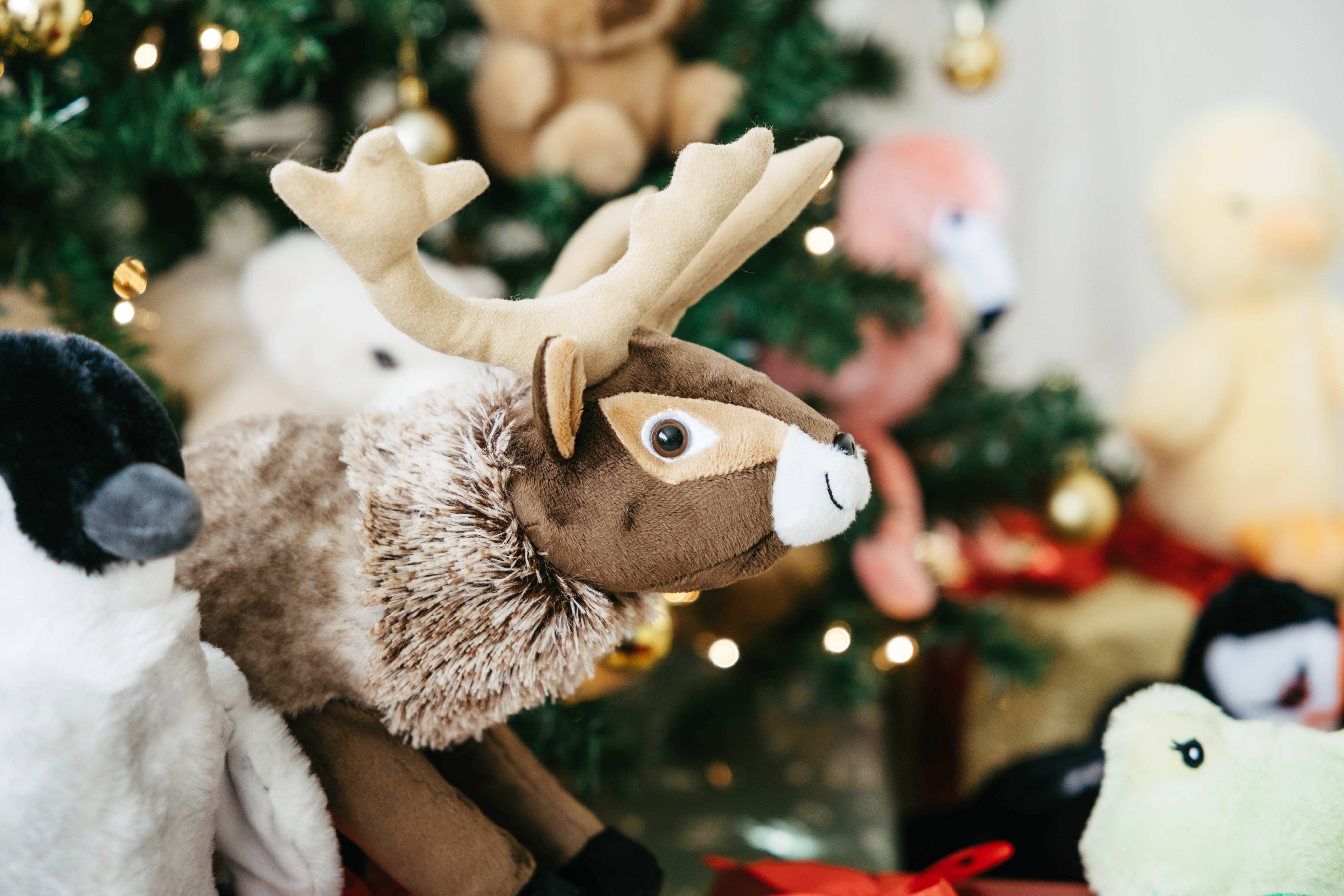 The Petting Zoo - Wholesale Stuffed/Plush Toy - Kids & Baby - 12" (32cm) Winter Reindeer Holiday Wild life2