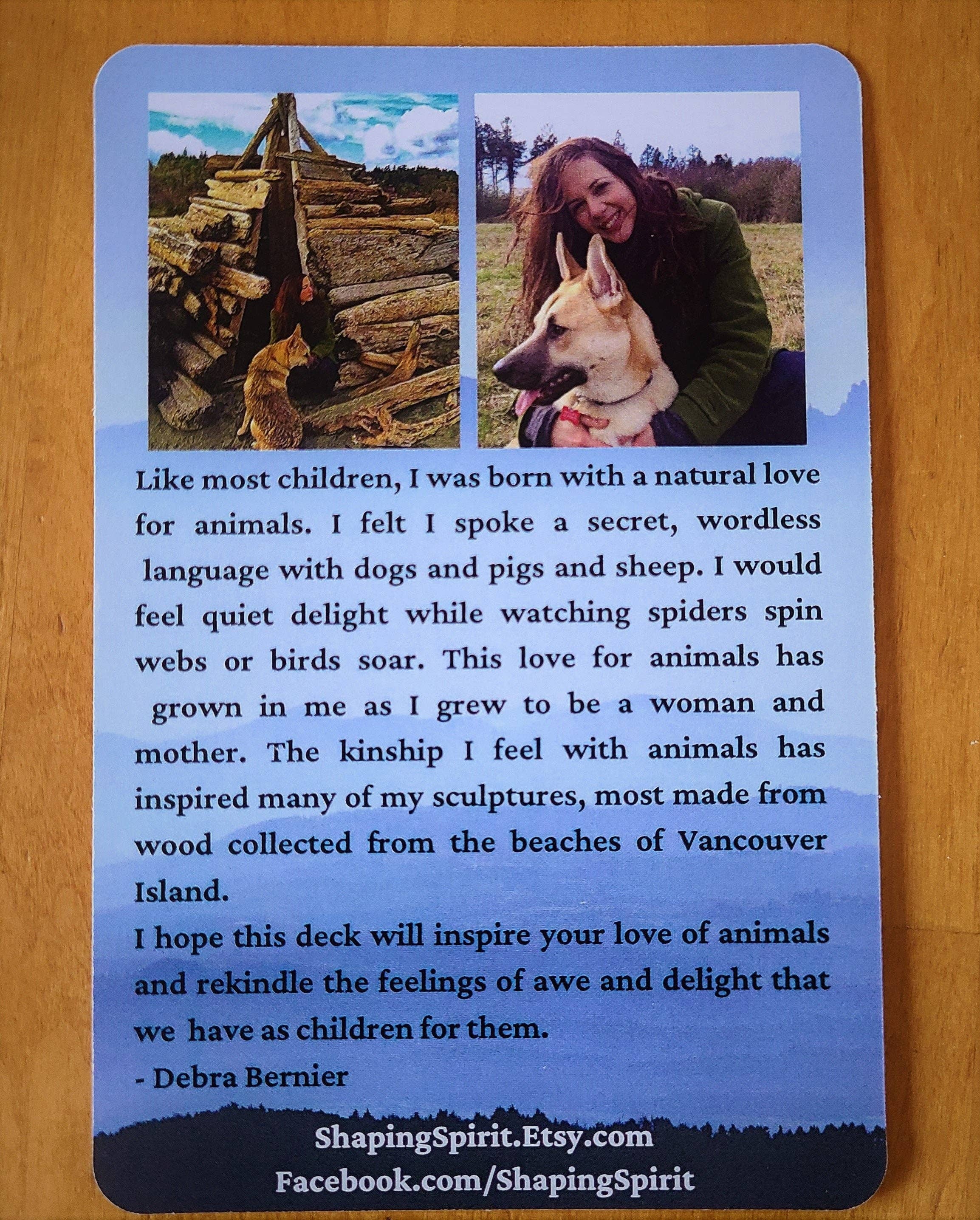 Shaping Spirit - Wholesale Tarot/Oracle Card - Spirit Animal Journey Deck with Guidance Questions | Intuitive Oracle Cards for Reflection & Spiritual Growth4