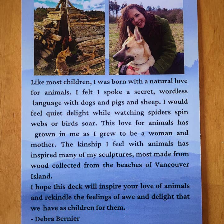 Shaping Spirit - Wholesale Tarot/Oracle Card - Spirit Animal Journey Deck with Guidance Questions | Intuitive Oracle Cards for Reflection & Spiritual Growth4