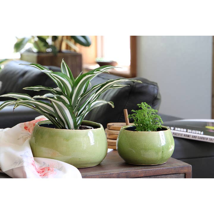 Pacific Home & Garden - Wholesale Plant Pot - Jewel freeform bowl, pistachio crackle