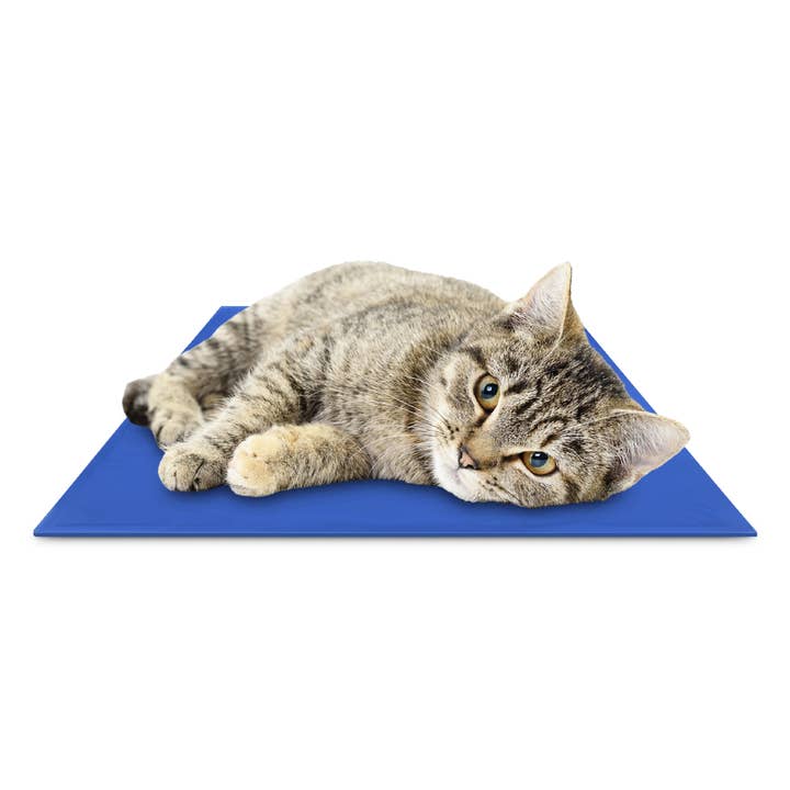 Chillz Gel Mat for wholesale by The Green Pet Shop