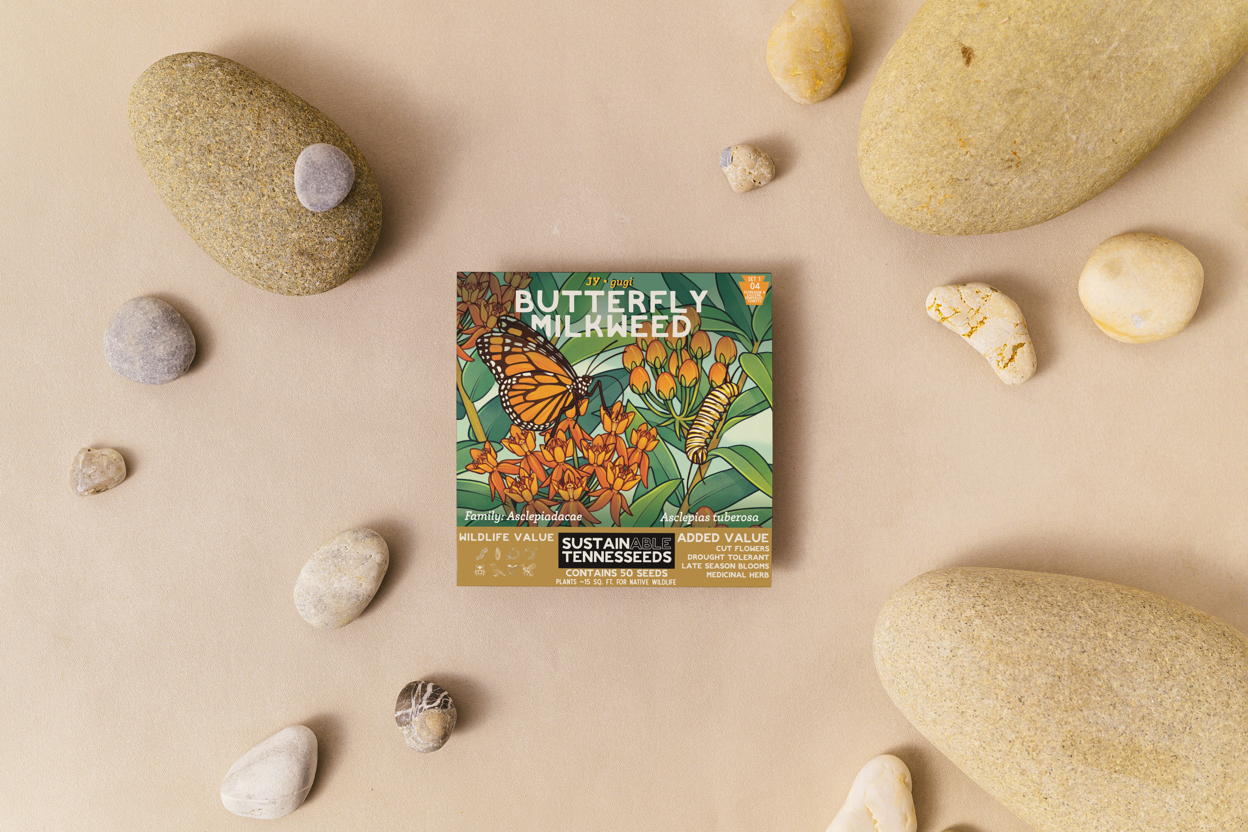 Plant for a Change - Wholesale Plant Seeds - Butterfly Milkweed2