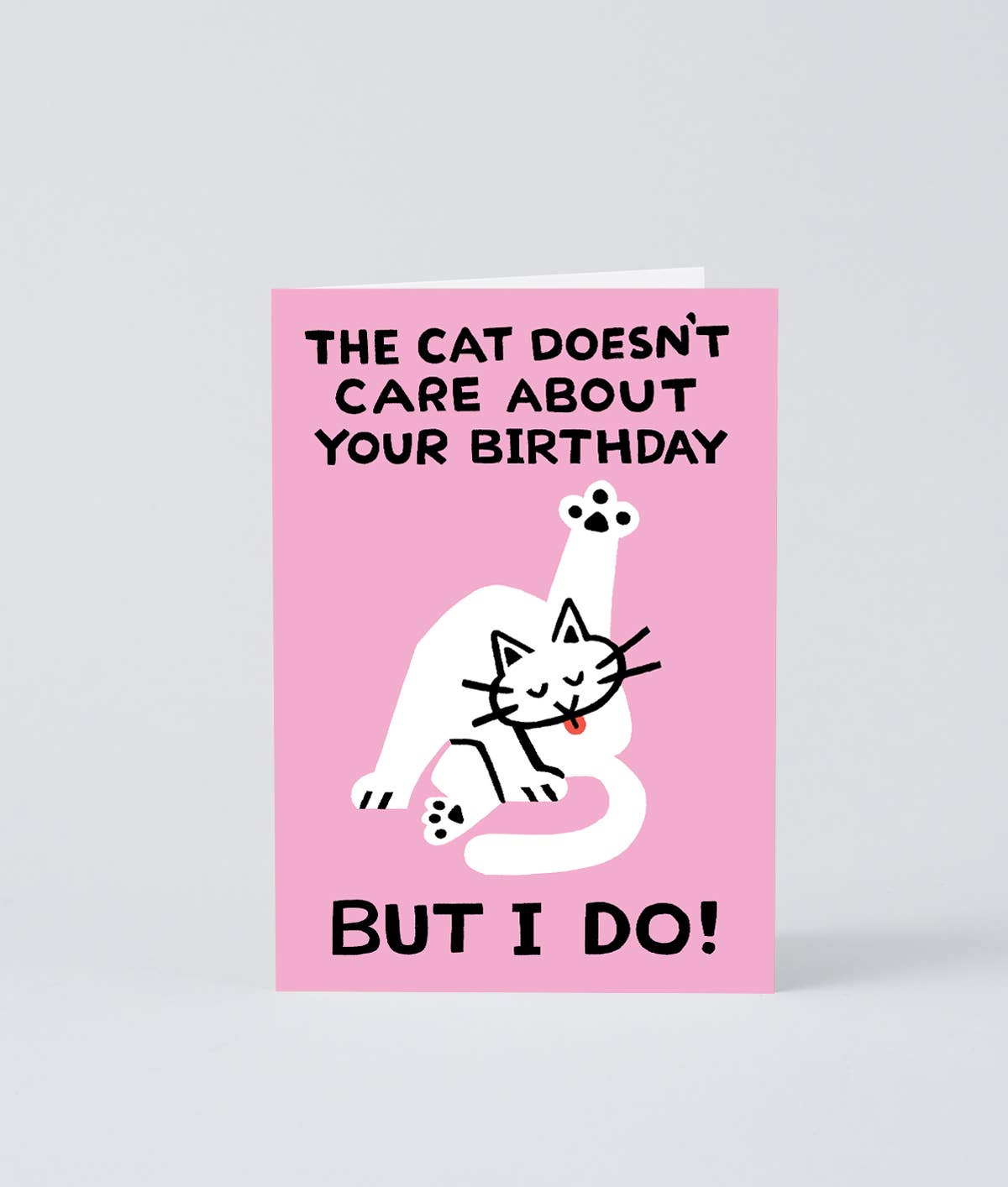 Wrap (US duties paid) - Wholesale Birthday Card - ‘The Cat Doesn’t Care’ Greetings Card1