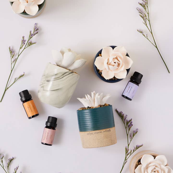 DEMDACO - Wholesale Electronic Diffuser - Succulent Oil Diffuser - Relax2