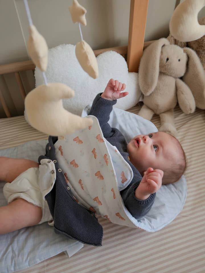 TAPIS À LANGER TEDDYBOO pour la vente par BabyBamboo