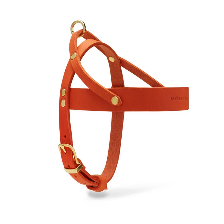 Molly and Stitch - Wholesale Pet Harness - Dog - Butter Leather Dog Harness - Mango2