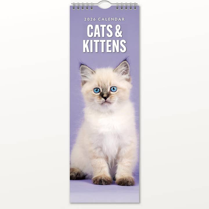Red Robin 2026 Cats & Kittens Monthly Slim Calendar and other Purchase Wholesale sunbeam. Free Returns & Net 60 Terms on Faire trending on Faire.