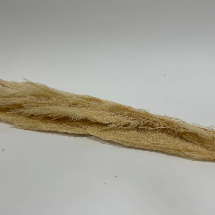 GS Foliage - Wholesale Dried/Pressed Flowers - Tall Natural Pampas Grass – 3-Stem Bunch (5 Feet)
3