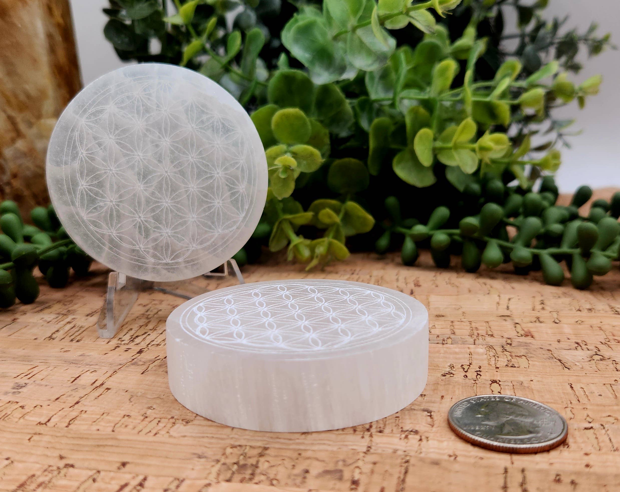 Meraki Gemstones - Wholesale Spiritual Stone/Crystal - Selenite Charging Plate/Coaster Round - Flower of Life 6-7cm4