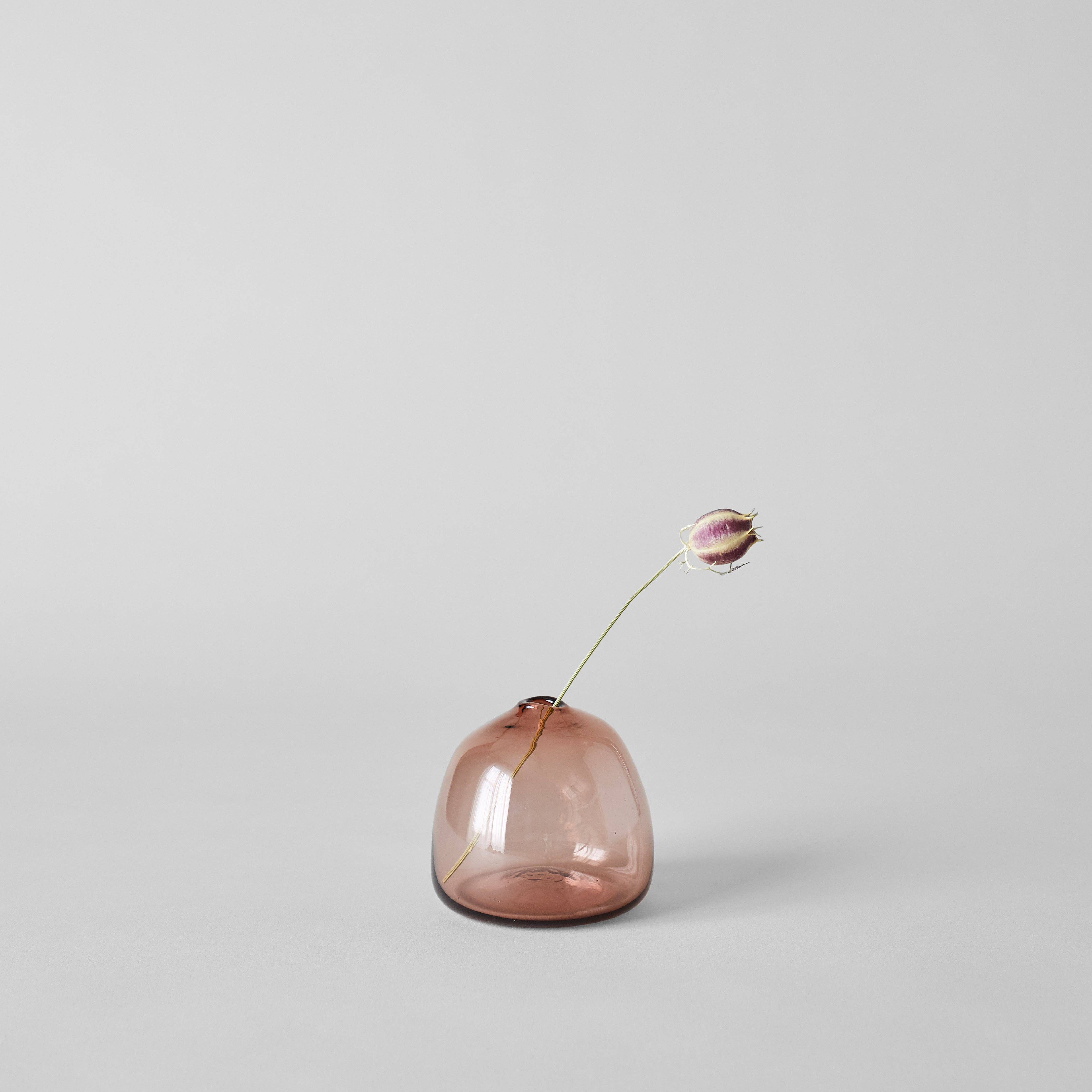 Bloomist - Vente Fleur séchée/pressée - Gousses de nigelle séchées2