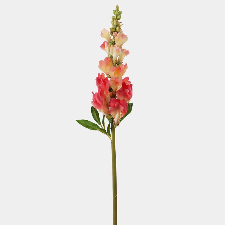 Real Touch Coral Snapdragon 23” and other Purchase Wholesale snapdragon. Free Returns & Net 60 Terms on Faire trending on Faire.