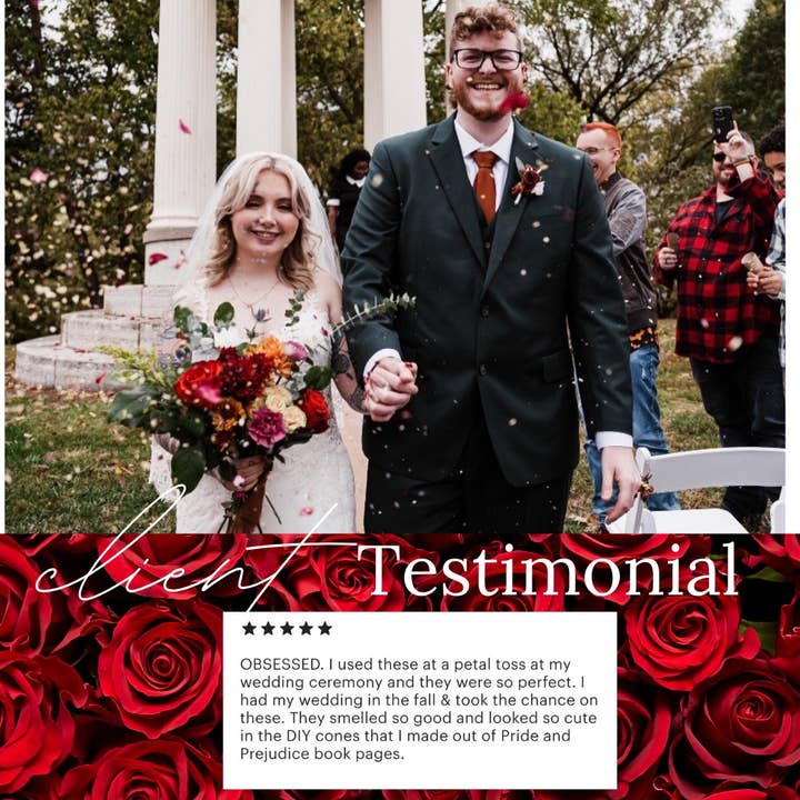 Flyboy Naturals Rose Petals - Wholesale Dried/pressed flowers - Romantic Red Rose Petals – 30 Cups Real • Freeze-Dried • USA9