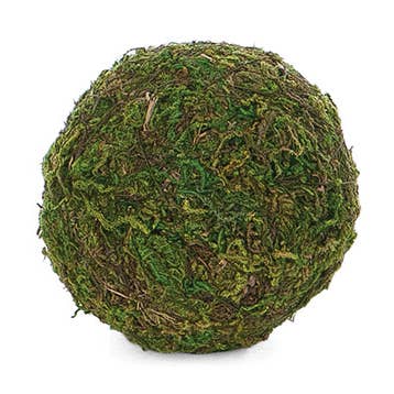 Round Moss Ball for wholesale by Willow Group