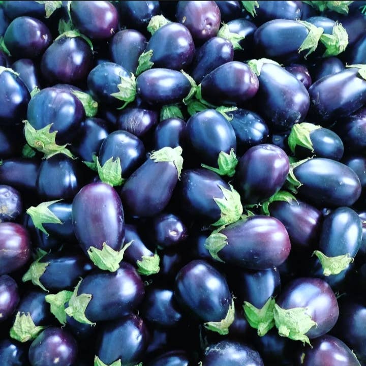 Toscana in Tavola - Wholesale Pasta Sauce - Organic Eggplant Sauce 290g1