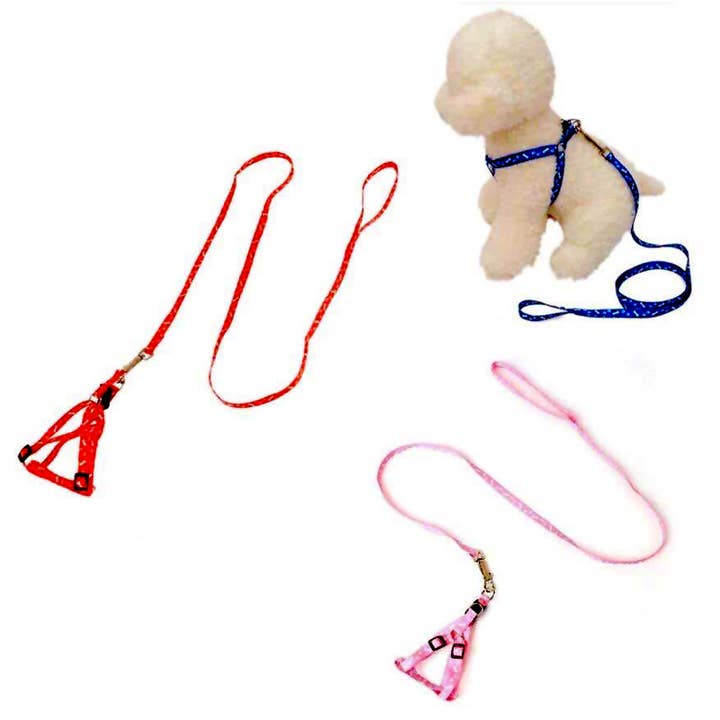 Deluxe Import Trading - Vente Collier – chien - Laisse pour chien taille mini