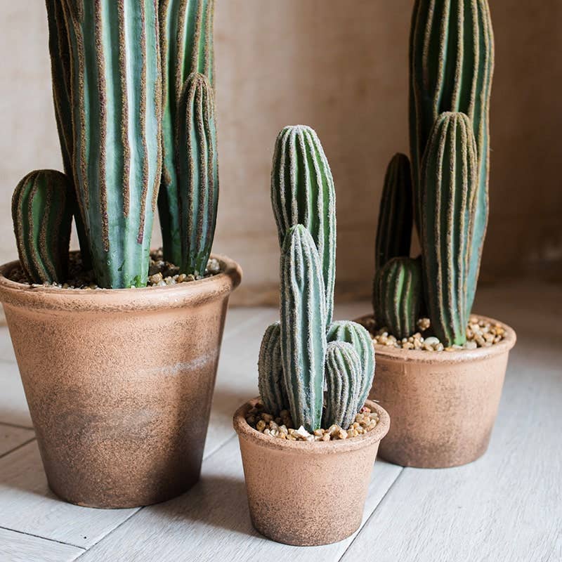 Rustic Reach - Wholesale Artificial Plant - Artificial Cactus in Brown Pot4