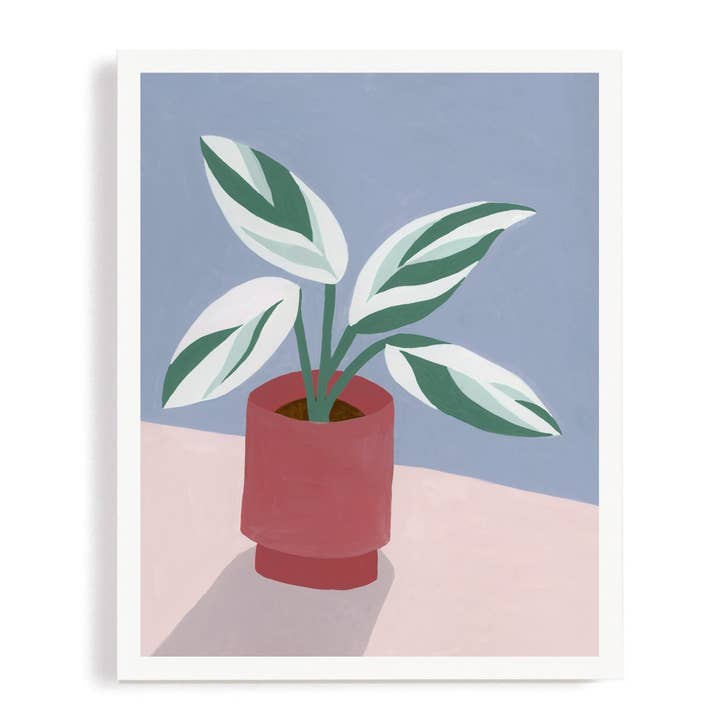Stromanthe Triostar Plant Art Print for wholesale by Say Something Cards