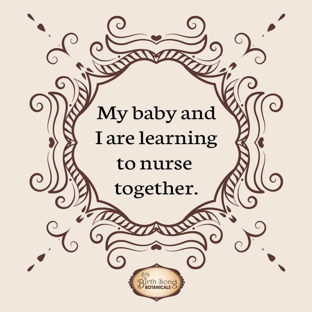 Birth Song Botanicals Co. - Vendita all'ingrosso Tisana per l'allattamento - Premaman - Lascia che ci sia latte! Integratore biologico per l'allattamento a base di erbe 2 oz.10