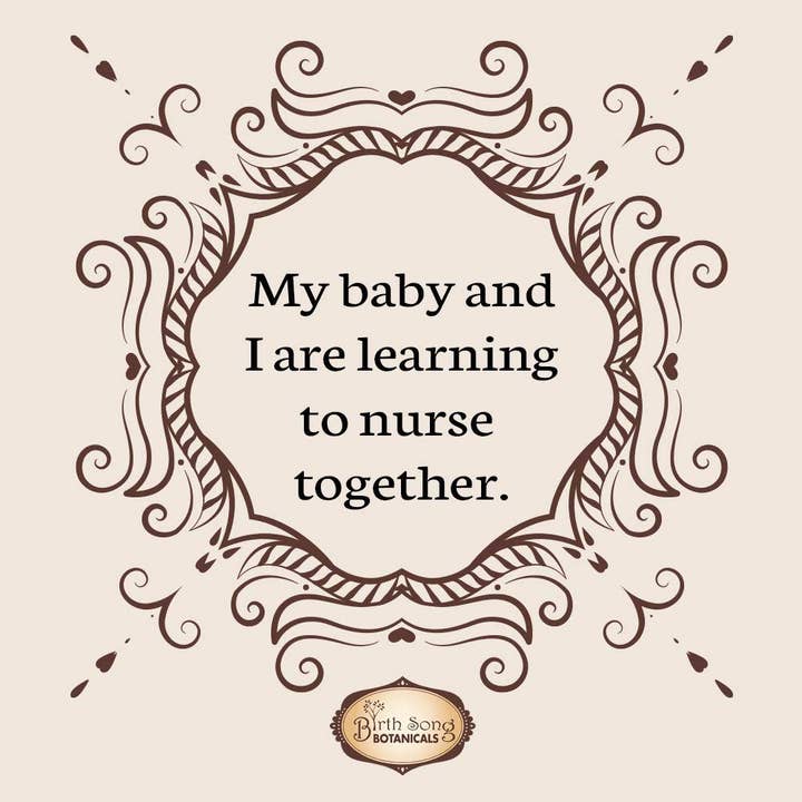 Birth Song Botanicals Co. - Wholesale Nursing Tea - Maternity - Let There Be Milk! Organic Herbal Lactation Supplement 2 oz.10