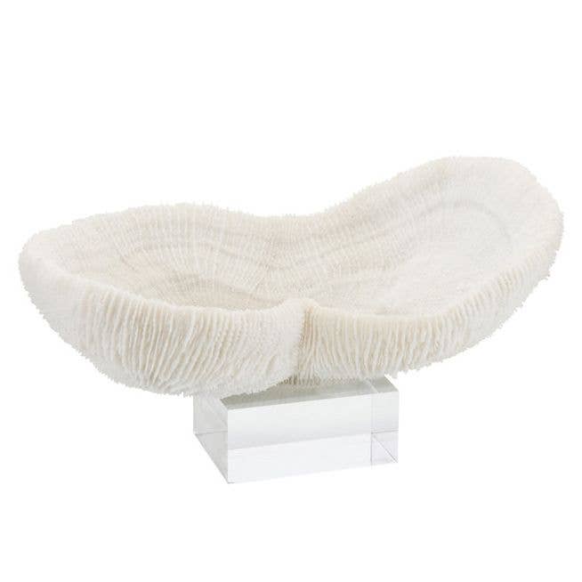 Feather Peanut Coral 10-12 sur base acrylique pour la vente par Legend Accents