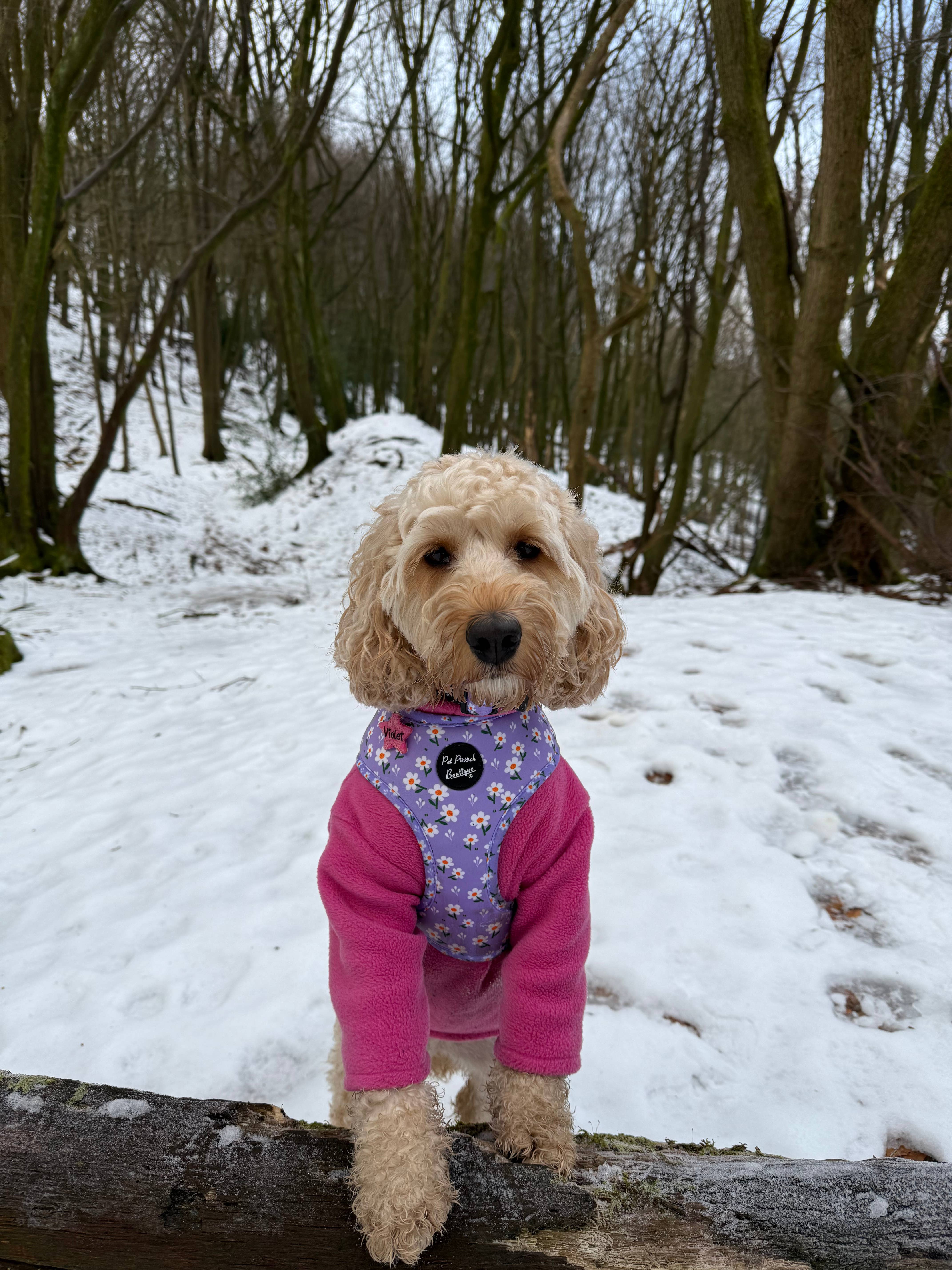 Pet Pooch Boutique – wholesale Pet harness – Dog – Lucky Little Lavender Daisies Dog Harness w/Accessories4