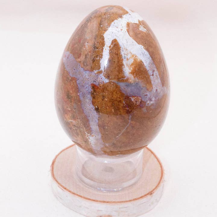 Petrified Wood Egg - AAA Premium Quality for wholesale by Tiny Rituals